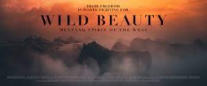 Wild Beauty: Mustang Spirit of the West