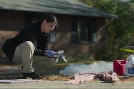 Missing: Dead or Alive? season 2