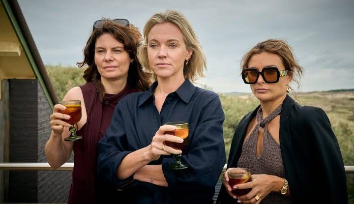 The Perfect Lie Review 2026 Tv Show